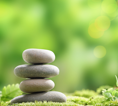 Nesters Market Health & Wellness